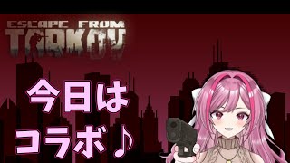 今日はPVEコラボで僕の担当は護衛です！【タルコフ】【VTuber】