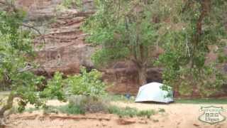 Moonflower Camping Area Video