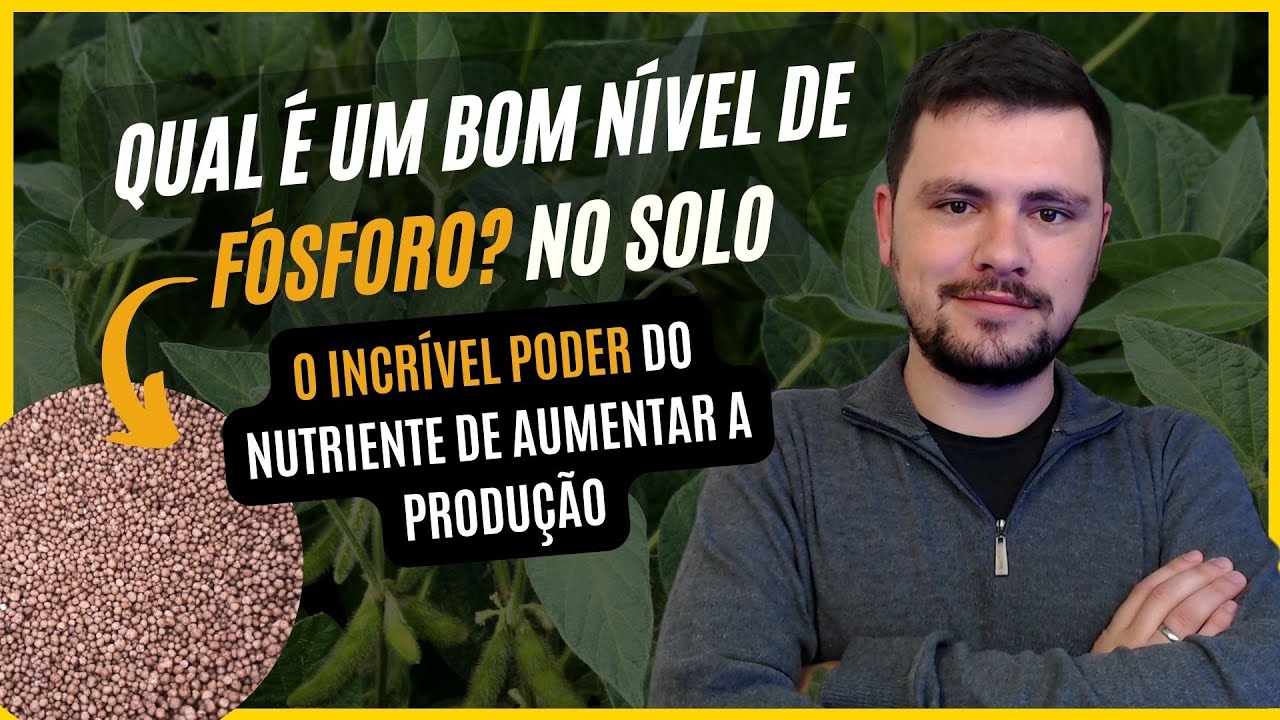 Qual é um bom nível de fósforo no solo? Quando é necessário corrigir esse nutriente?