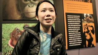 Films for Thought - The Burning Season