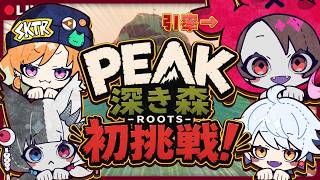 〘PEAK⛰️〙久々に登るか、山。