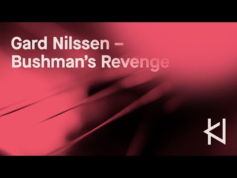 Gard Nilssen – Bushman's Revenge ⎪ live at CJW 2022  🔴