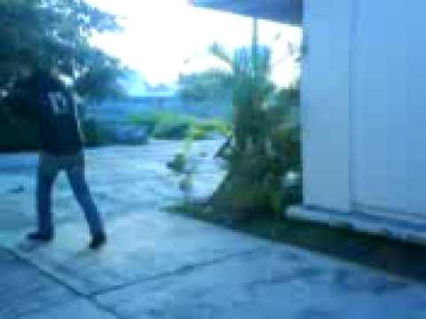 FACICO-DIA DE LUCHAS SERGIO VS WILBER