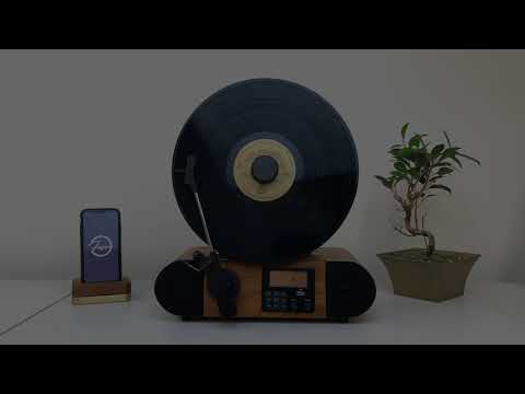Fuse Vert Vertical Vinyl Record Player with Bluetooth & FM Radio
