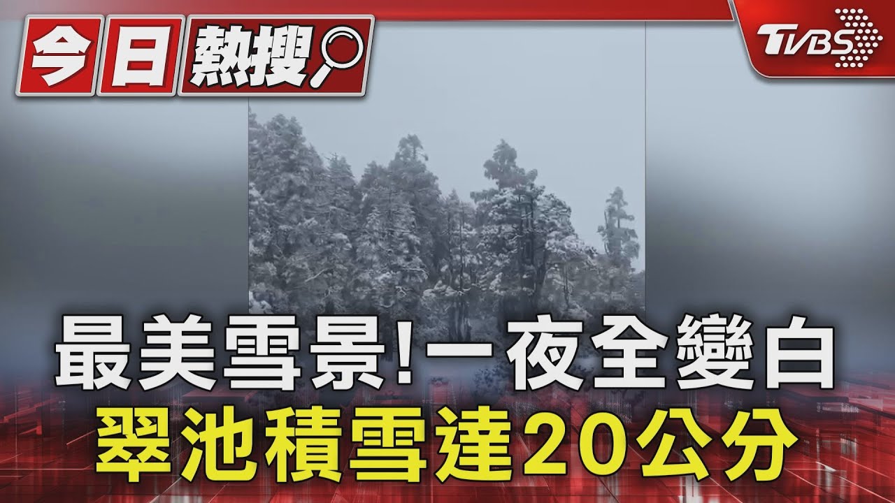 最美雪景!一夜全變白 翠池積雪達20公分