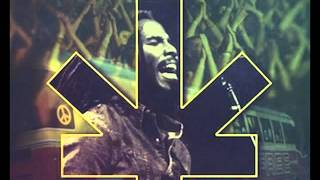 ZIGGY MARLEY "JUSTICE/WAR" LIVE