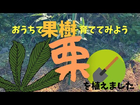 園芸 栗の植え方は?