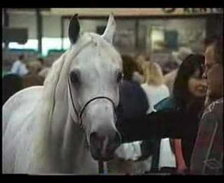 Imperial Imdal+ 1997