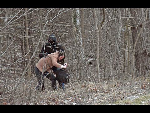 Archiwum zbrodni - Wampir z Krakowa