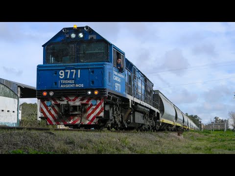 Tren 5016 - 9771 con tolvas de origen Chino 
