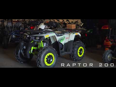 New 2019 Tao Motor Raptor 200cc ATV | Overview | @pioneerpowersports