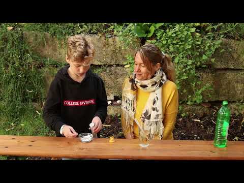 Forsche mit uns! Raketenstart mit CO2 - Checky Juni 2023