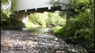 preview picture of video 'Earnest Covered Bridge, Marcola Oregon'