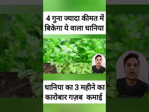 मार्केट की डिमांड के हिसाब से करो खेती बहुत अच्छी कमाई होगी, Dhaniya ki kheti,धनिया की खेती