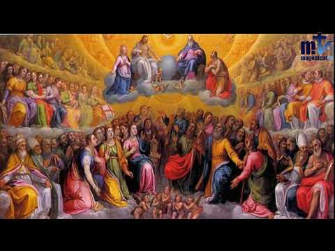 Homily of Today | Memorial of Saint Elizabeth of Hungary | 11/17/2022 | Rev. Santiago Martín FM