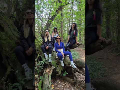 Restart Programı / Shinrin Yoku / Orman Banyosu / NGEnjoy