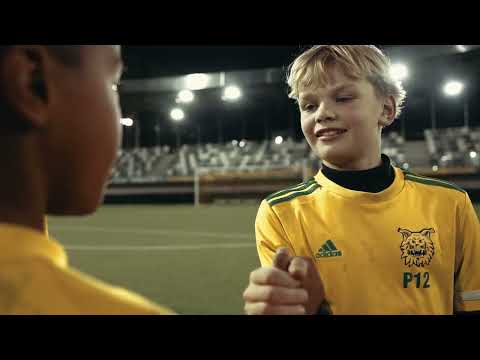 Ilves | Unstoppable Dream