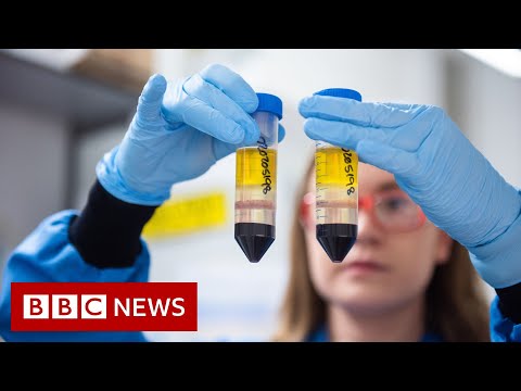 冠狀病毒。什麼時候可以接種COVID-19疫苗？- BBC新聞 (Coronavirus: When can I get the COVID-19 vaccine? - BBC News)