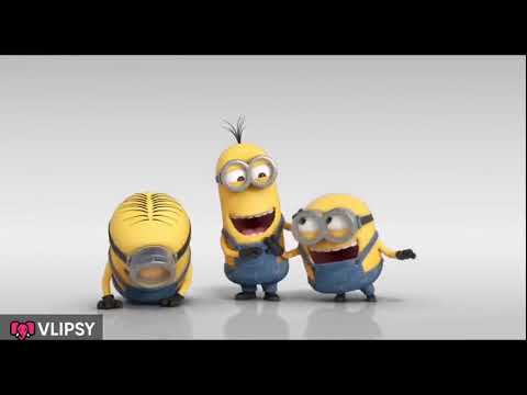 Kevin Stuart And Bob Laughs