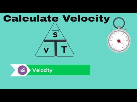 Calculate Average Velocity