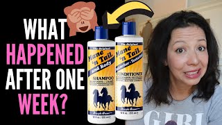 HAIR LOSS SUFFERER REVIEWS MANE AND TAIL SHAMPOO + CONDITIONER! BEFORE and AFTER and TRUTHS 2020
