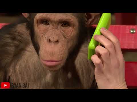 Chutney Possy - Heeralal Rampertap (Unofficial Music Video)