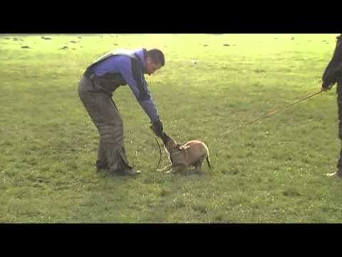 CHARMIN Aykmar - defence -3 months, helper: Marek Černý