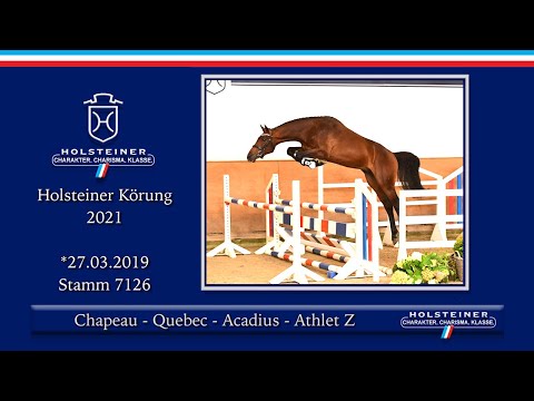 Holsteiner Körlot 2021 | Nr. 17 v. Chapeau - Quebec - Acadius - Athlet Z