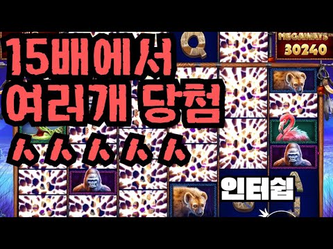 [슬롯][제보영상][닉네임:인터쉽]코뿔소 800배