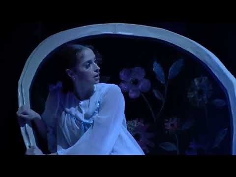 The Nutcracker - Christmas Tree Grows (Anna Nikulina & Denis Rodkin)