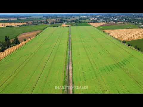 Praderas de Yerbas Buenas | Invierte en tierra con identidad en el corazón del Maule