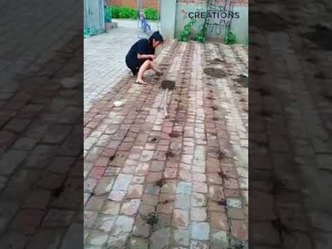 Brick floor gardening