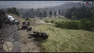 Train Robbery Goes Wrong RDR2