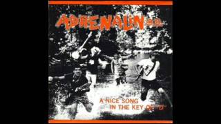 Adrenalin O.D.-A Nice Song in the Key of 