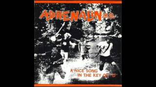 Adrenalin O.D.-A Nice Song in the Key of "D"