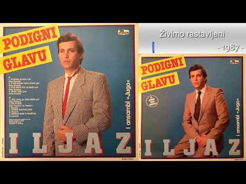 Iljaz Hasani - Zivimo rastavljeni - (Audio 1987)