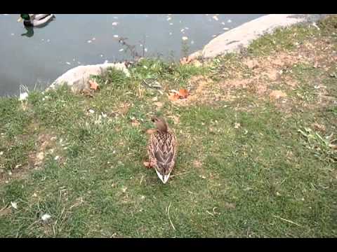 Russell orchards in Ipswich ma