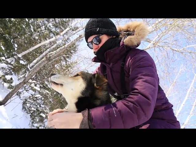 Les aventures d&rsquo;Élisabeth dans Charlevoix: le traîneau à chiens