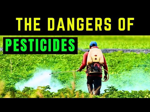 The Dangers of Pesticides: Protecting Yourself and the Environment