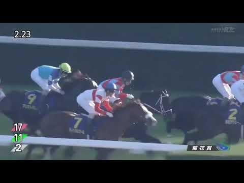 سباق Contrail ابن الفحل ديب آمباكت