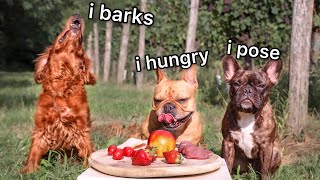 Vineyard Food Review With 3 Crazy Dogs