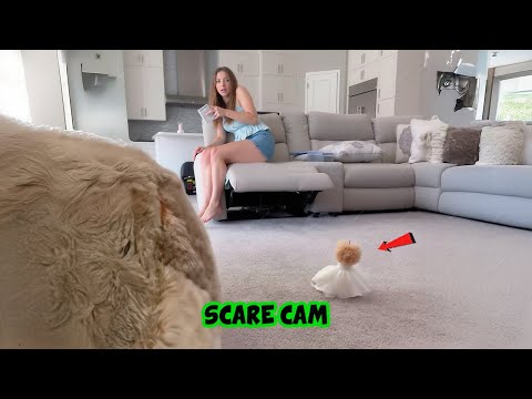BEST SCARE CAM Priceless Reactions 2025😈#293 | Funny Scare Cam 🤣| Jump Scare 😂| CoCo Scare Cam |
