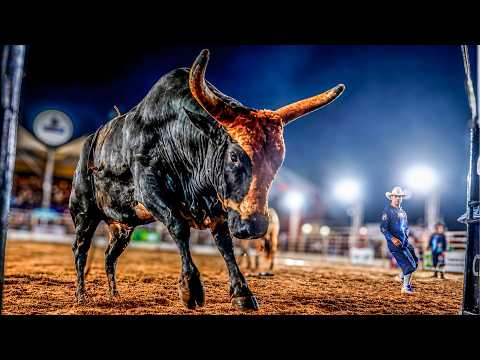 FINAL EM TOUROS - Rodeio de TRÊS LAGOAS 2026 (EXPO TRÊS) / FINAL COPA TEXAS INDIAN (Oficial 4K)