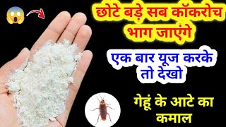 ना केमिकल ना दवाई घरेलू तरीके से भगाए कॉकरोच😱 kitchen tips / cockroach ko kaise bhagaye / get rid of