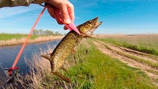 Рыбалка в уташе анапского района