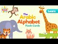 Learn Arabic Alphabet With Flash Cards Animals Vocals Only SuperMuslimKids