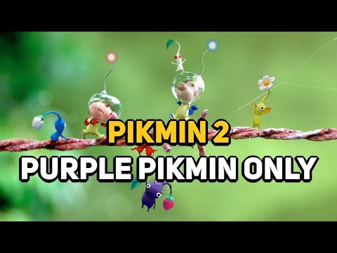 Can You Beat PIKMIN 2 With Only Purple Pikmin?