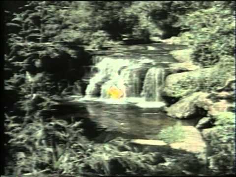 Still frame from Liril Girl (Waterfall) (Liril, 1975)