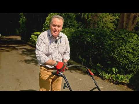 Cobra WS70L Wheeled Path & Weed Sweeper - Image 2