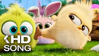 Easter Song by Baby Angry Birds (2016) Movie